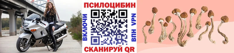 Псилоцибиновые грибы прущие грибы  MEGA зеркало  Реутов 